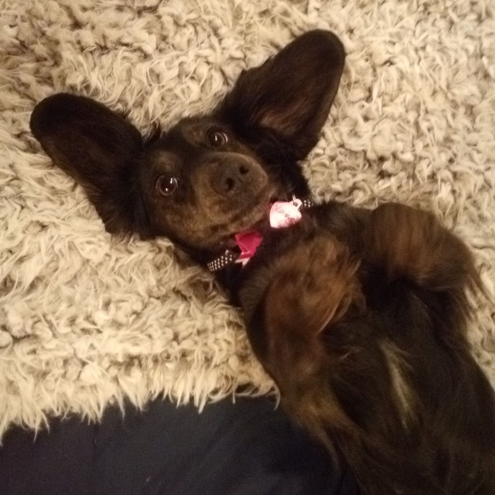 Meet your Posher, Lynn